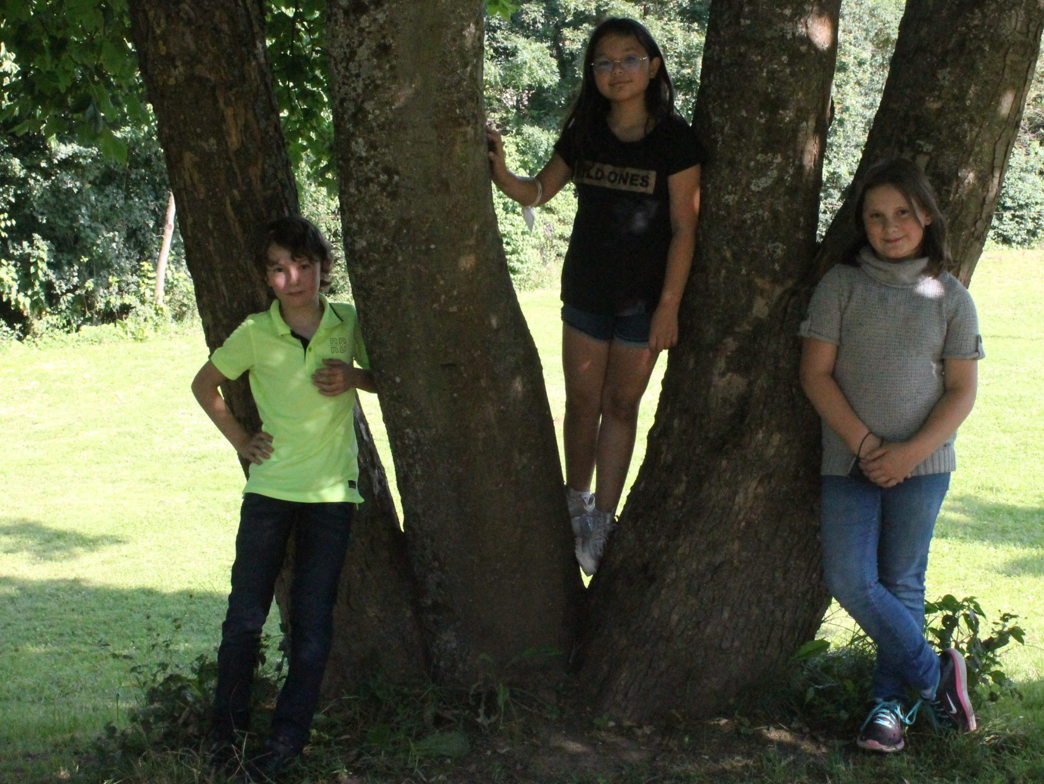 Bild2 zum Leitbild der Grundschule Zaberfeld